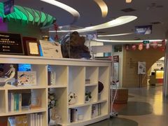 -极光口腔·矫正种植修复(锦江店)