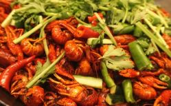 -上海外高桥喜来登酒店·宴会厅