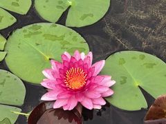 -云溪植物园