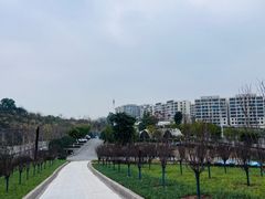 -桂花寨(北碚二店)