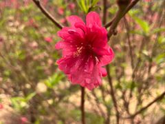 -水濂山森林公园