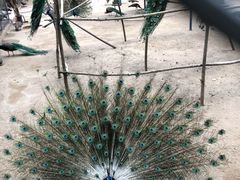 -森林公园(尖草坪区)