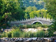 -国家植物园