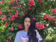 -鹅湖玫瑰文化园