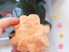 -吴记·吴酥生PASTRY宫廷酥饼
