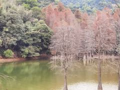 -广州市白云山风景名胜区