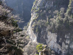 -秦岭终南山公路隧道公司