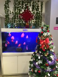 点击看大图 -传世玉颜专业祛痘·问题肌