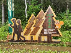 -汤旺河林海奇石景区