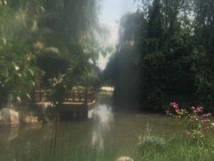 -星河温泉小镇