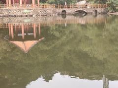 -连云港云龙涧原生态风景区
