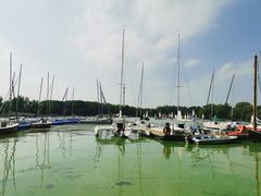 -上海美帆帆船露营基地