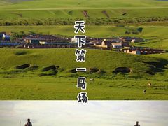 -山丹皇家马场