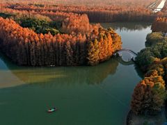 -上海海湾国家森林公园