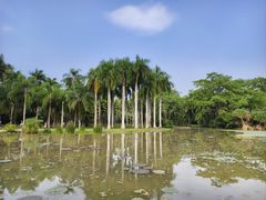 -中国科学院西双版纳热带植物园