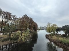 -武汉动物园