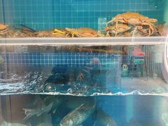 -碗中海·蒸汽海鲜·桑拿鸡(岭南天地店)