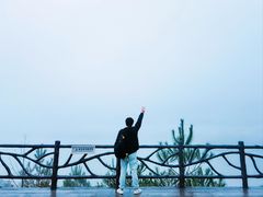 -千岛湖天屿景区