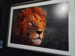 -罗红摄影艺术馆