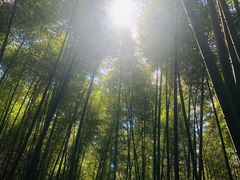 -南京市无想山景区