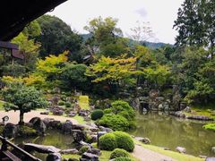 -醍醐寺