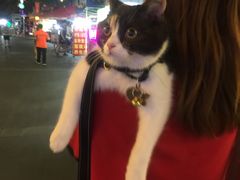 -巴厘龙虾·榜首油焖大虾(洞庭·艺术洋房店)