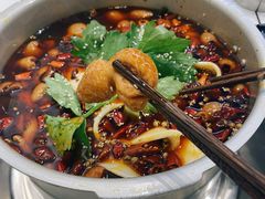 -晓彭肥肠鸡·泡椒鸡火锅(水木天地店)