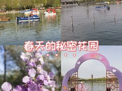 -西海子公园