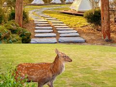 -不觉晓CAMPING(上海迪士尼营地店)