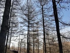 -红崖峡谷景区