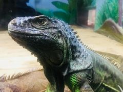 -石家庄市动物园