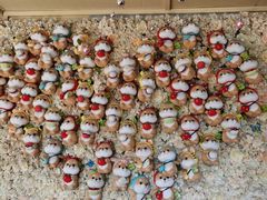 -柴犬高等学院·狗咖·柴犬售卖·宠物训练