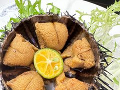 -南山酒肆(南山董事绘店)