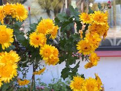 -百万叔(临湖店)