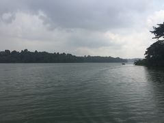 -河川生态园