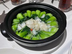 泉水百合青菜-圆苑(金茂店)