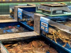 -帝皇海海鲜豆捞(桐泾商务广场店)
