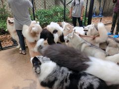 -TrueLove @ Neverland (Husky Cafe)