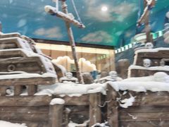 -世界之窗阿尔卑斯冰雪世界