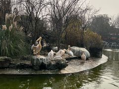 -成都动物园