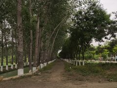 -东郊湿地公园