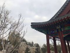 -西海子公园