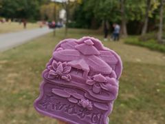 -中国科学院华南植物园