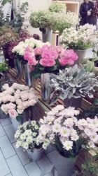 -悦诗风吟innisfree