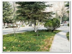 -陕西师范大学(雁塔校区)