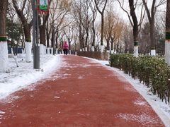 -大兴滨河森林公园