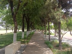 -汉长安城未央宫国家考古遗址公园