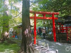 -野宫神社