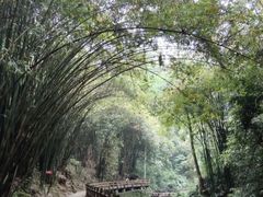 -凤栖山
