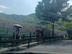 -广东天露山旅游度假区